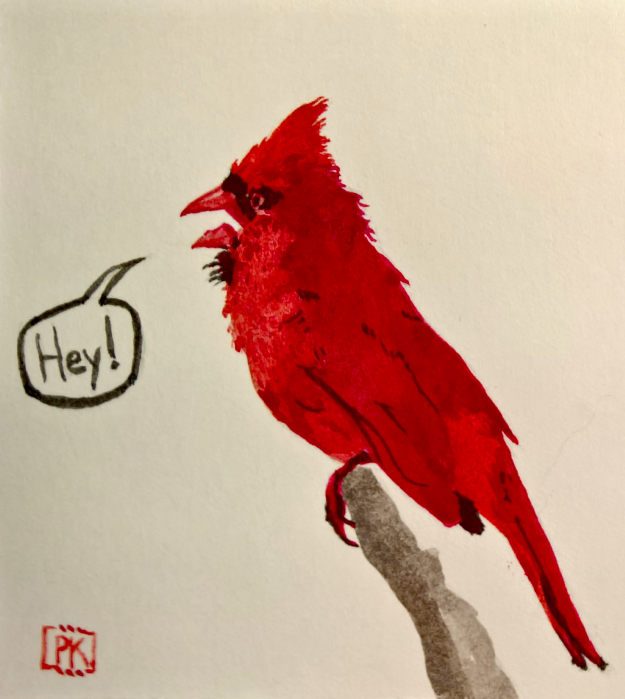 I drew a bird