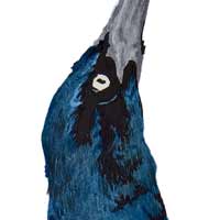 a grackle